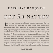 Det är natten : författaren och den som skriver