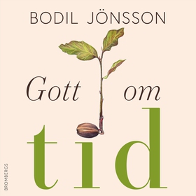 Gott om tid (ljudbok) av Bodil Jönsson