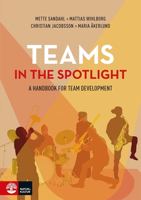 Teams in the spotlight : A handbook for team de