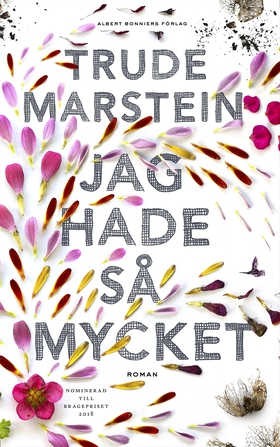 Jag hade så mycket (e-bok) av Trude Marstein