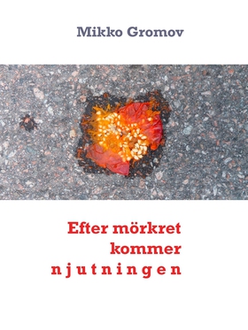 Efter mörkret kommer njutningen (e-bok) av Mikk