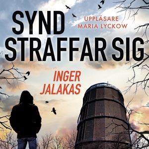 Synd straffar sig (ljudbok) av Inger Jalakas