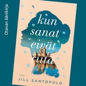 Kun sanat eivät riitä (ljudbok) av Jill Santopo