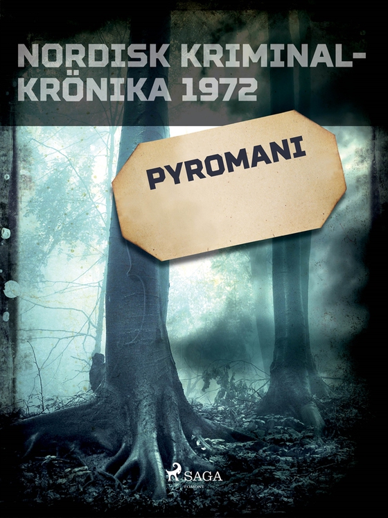 Pyromani (e-bok) av Diverse