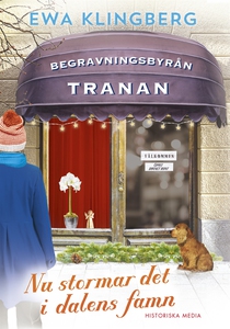 Nu stormar det i dalens famn (e-bok) av Ewa Kli
