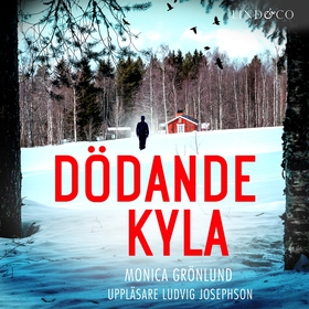 Dödande kyla (ljudbok) av Monica Grönlund