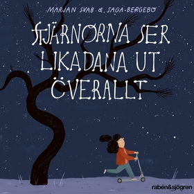 Stjärnorna ser likadana ut överallt (ljudbok) a
