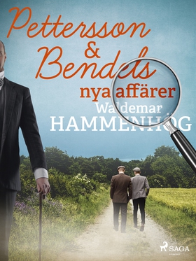 Pettersson &amp; Bendels nya affärer (e-bok) av