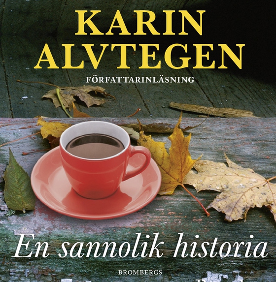 En sannolik historia