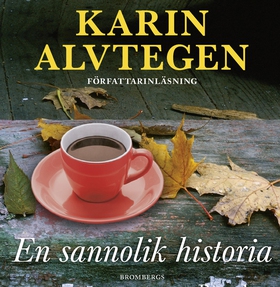En sannolik historia (ljudbok) av Karin Alvtege