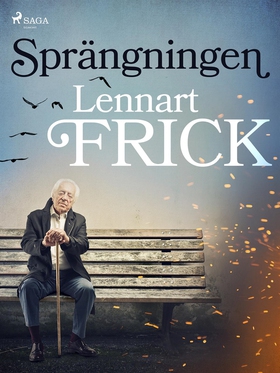 Sprängningen (e-bok) av Lennart Frick
