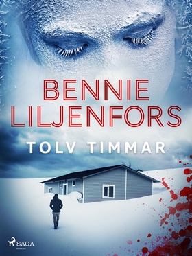 Tolv timmar (e-bok) av Bennie Liljenfors