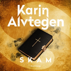 Skam (ljudbok) av Karin Alvtegen
