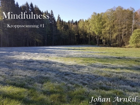 Mindfulness - Kroppscanning (ljudbok) av Johan 