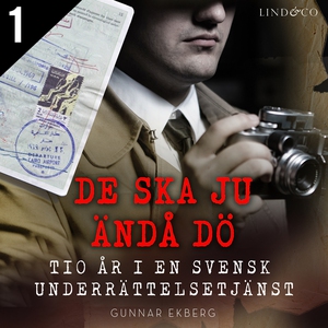 De ska ju ändå dö: tio år i en svensk underrätt