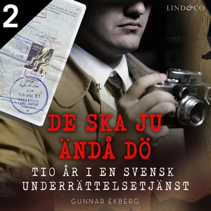 De ska ju ändå dö: tio år i en svensk underrätt