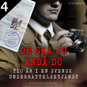 De ska ju ändå dö: tio år i en svensk underrätt