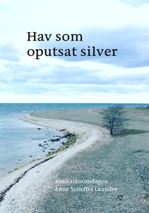 Hav som oputsat silver: #enhaikuomdagen (e-bok)