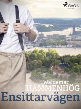 Ensittarvägen (e-bok) av Waldemar Hammenhög