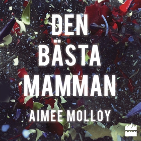 Den bästa mamman (ljudbok) av Aimee Molloy