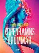 Köpenhamnsdrömmar - erotisk novell