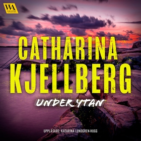 Under ytan (ljudbok) av Catharina Kjellberg