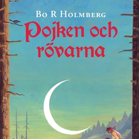 Pojken och rövarna (ljudbok) av Bo R Holmberg