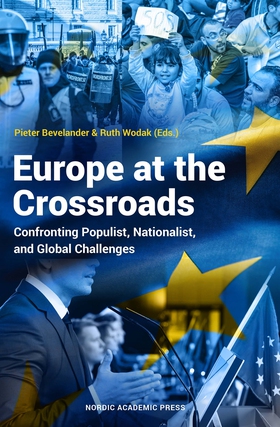 Europe at the crossroads (e-bok) av Pieter Beve