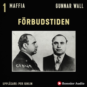 Förbudstiden (ljudbok) av Gunnar Wall