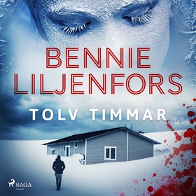 Tolv timmar (ljudbok) av Bennie Liljenfors