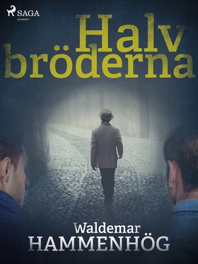 Halvbröderna (e-bok) av Waldemar Hammenhög