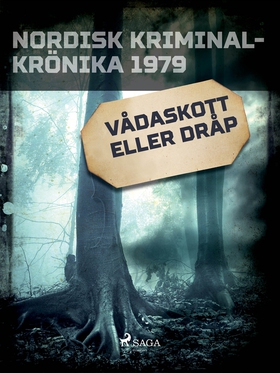 Vådaskott eller dråp (e-bok) av Svenska Polisid