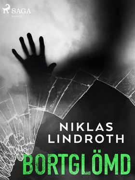 Bortglömd (e-bok) av Niklas Lindroth