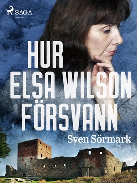 Hur Elsa Wilson försvann (e-bok) av Sven Sörmar