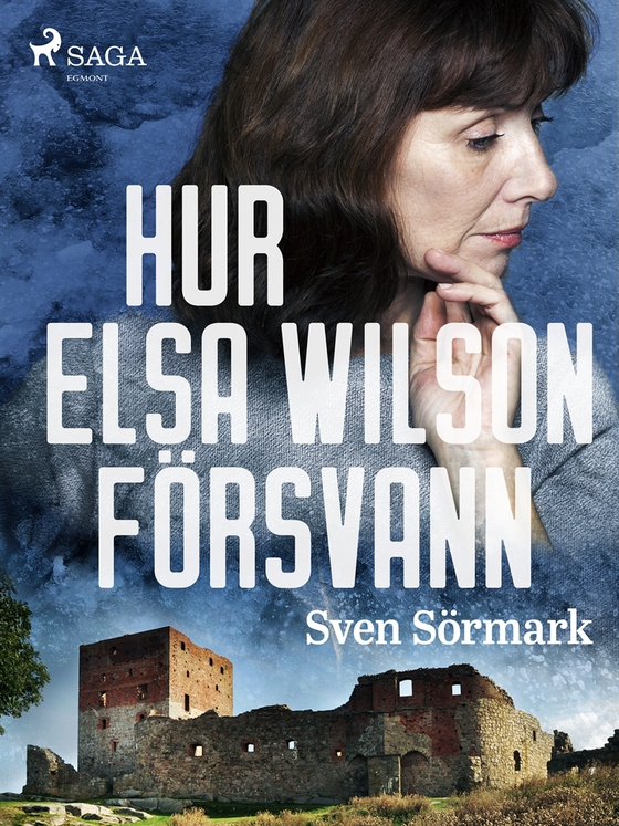 Hur Elsa Wilson försvann (e-bok) av Sven Sörmark