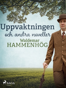 Uppvaktningen och andra noveller (e-bok) av Wal
