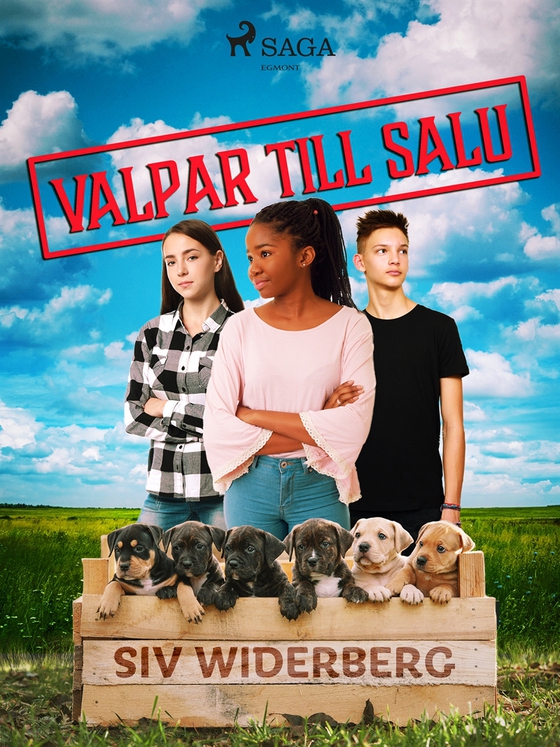 Valpar till salu (e-bok) av Siv Widerberg