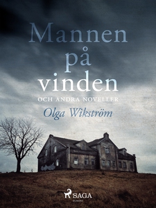 Mannen på vinden och andra noveller (e-bok) av