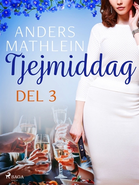 Tjejmiddag del 3 (e-bok) av Anders Mathlein