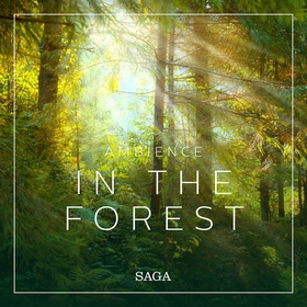 Ambience - In the Forest (ljudbok) av Rasmus Br