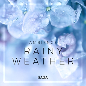 Ambience - Rainy Weather (ljudbok) av Rasmus Br