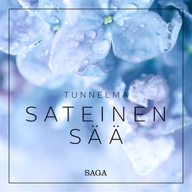 Tunnelma - Sateinen sää (ljudbok) av Rasmus Bro