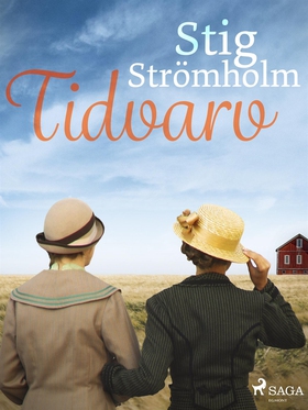 Tidvarv (e-bok) av Stig Strömholm