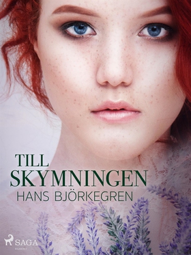 Till skymningen (e-bok) av Hans Björkegren