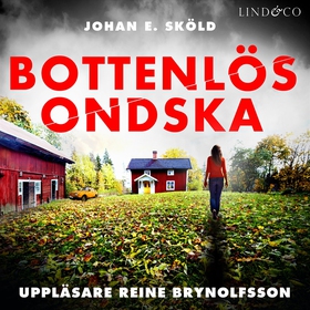 Bottenlös ondska (ljudbok) av Johan E. Sköld