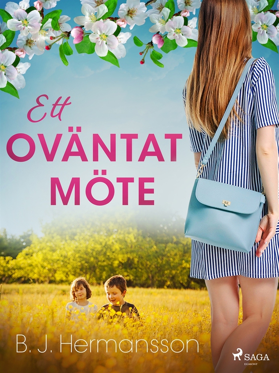 Ett oväntat möte (e-bok) av B. J. Hermansson
