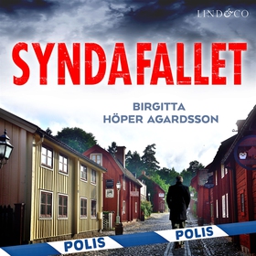 Syndafallet (ljudbok) av Birgitta Höper Agardss