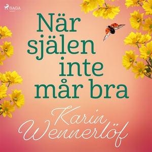 När själen inte mår bra (ljudbok) av Karin Wenn