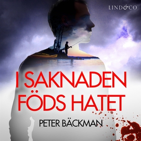 I saknaden föds hatet (ljudbok) av Peter Bäckma