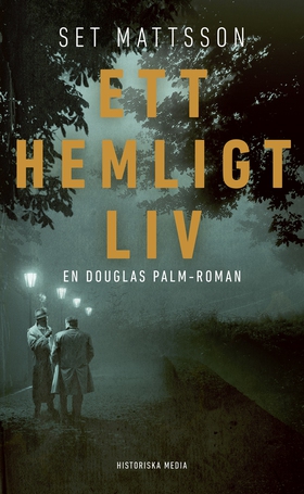 Ett hemligt liv (e-bok) av Set Mattsson